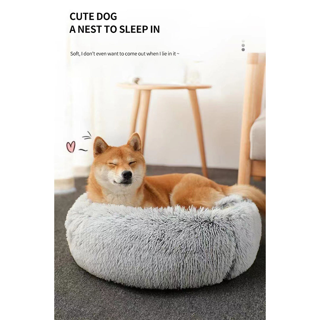 cat-bed-online