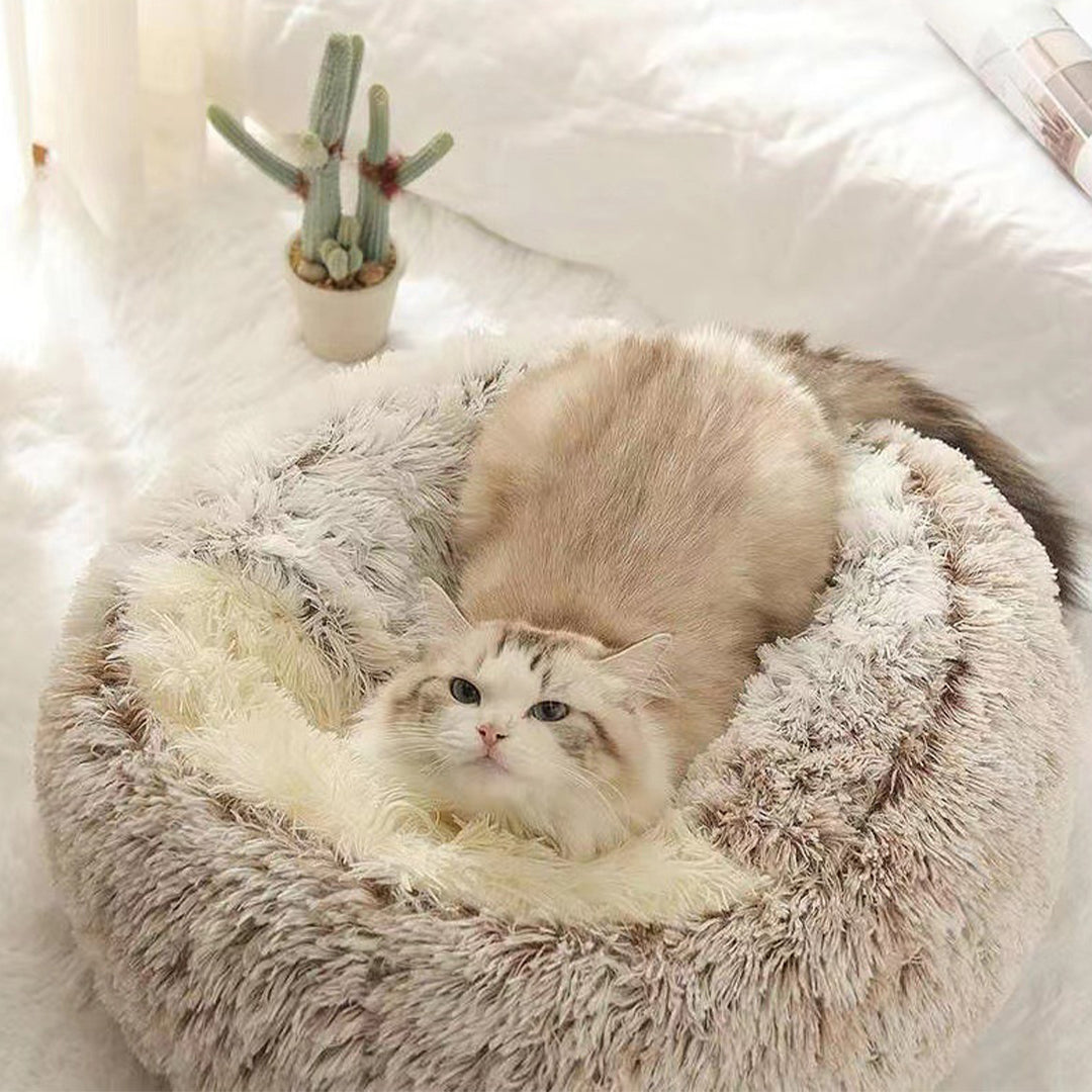 durable-comfortable-dog-and-cat-bed luxurydogbeds